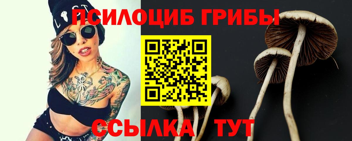 Донецк  Псилоцибиновые грибы мухоморы  Вход с VPN  Галлюциногенные грибы Psilocybine cubensis 